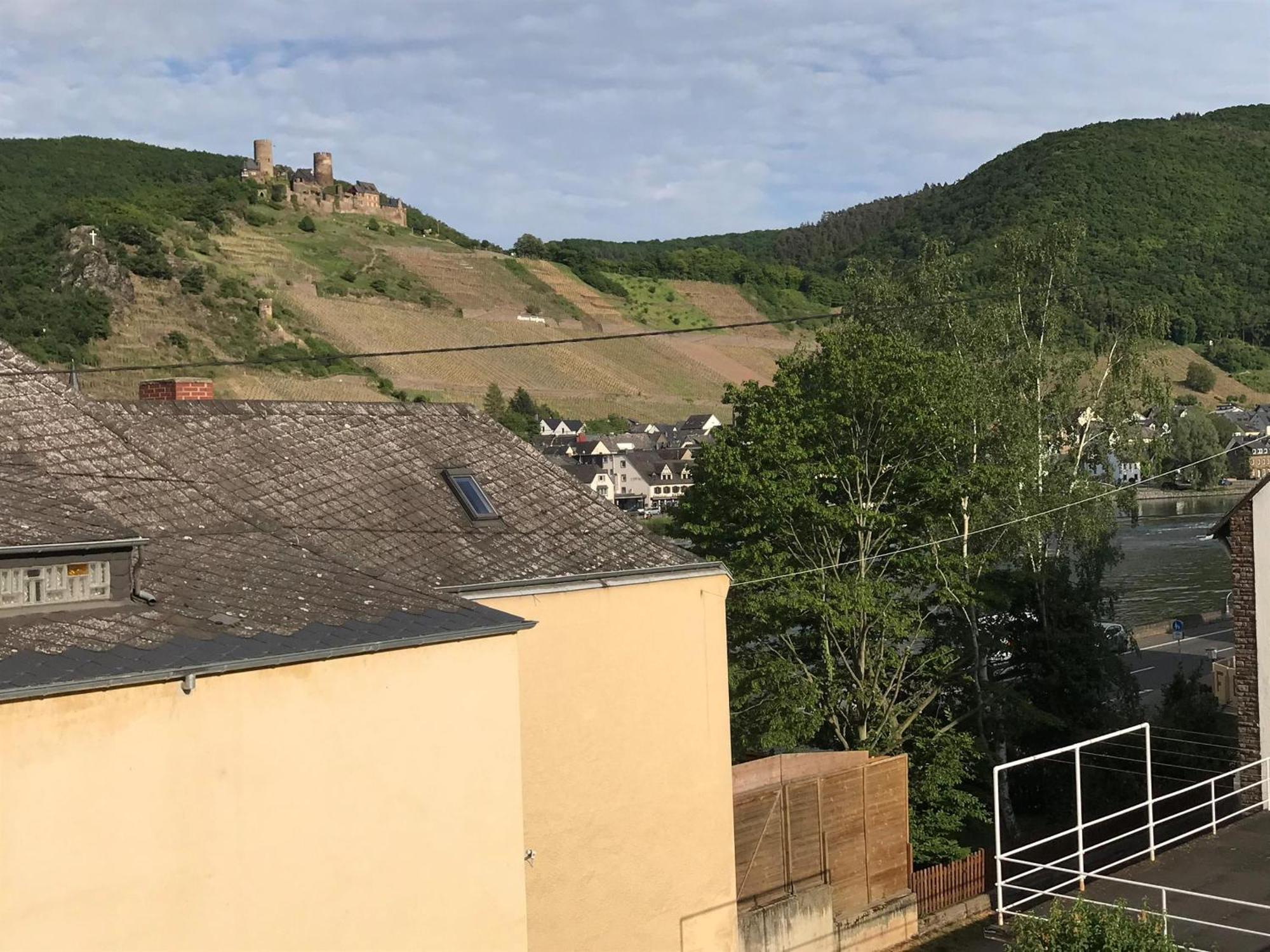 Bio-Ferienweingut Leyendecker Apartment Kattenes Ngoại thất bức ảnh